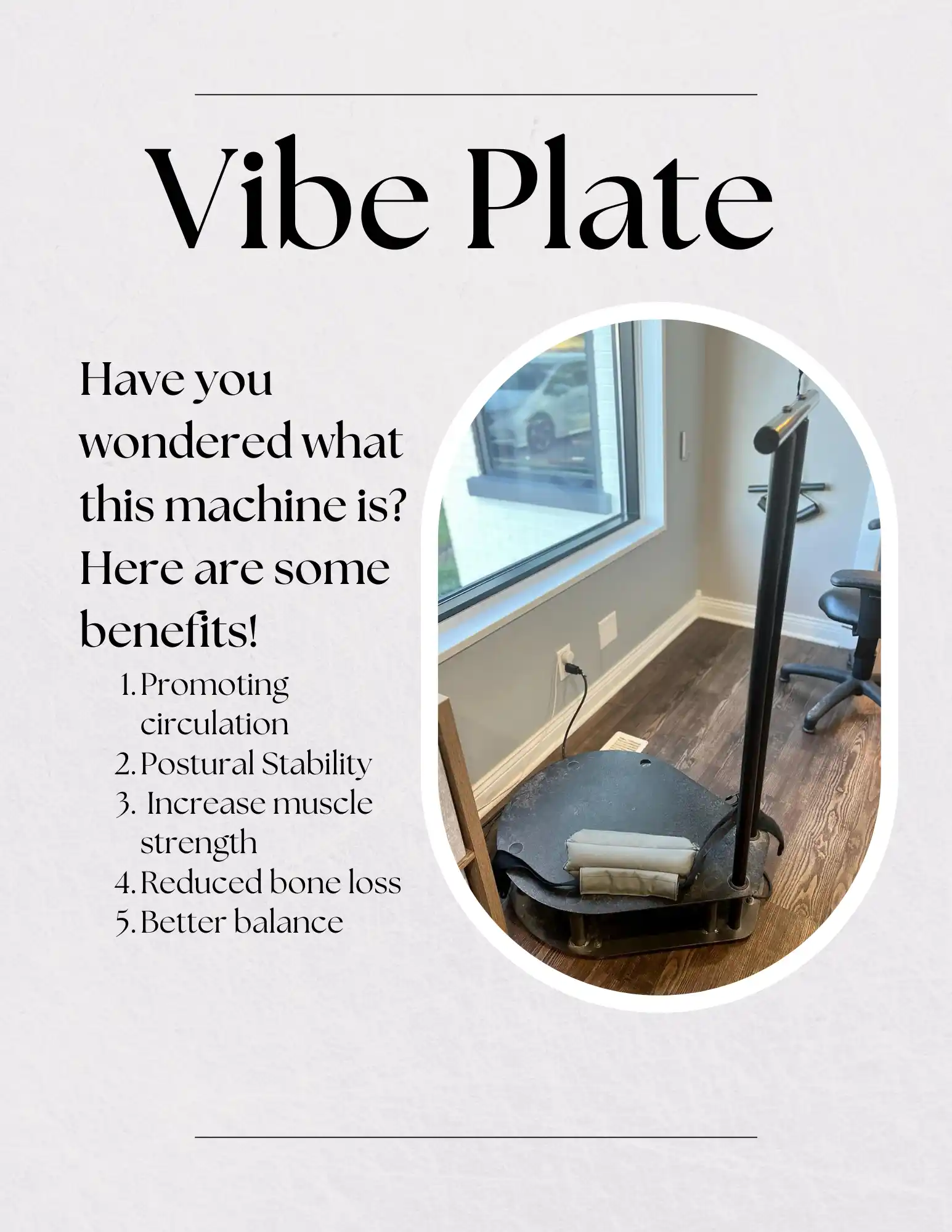 Chiropractic Kenosha WI Vibe Plate Flyer